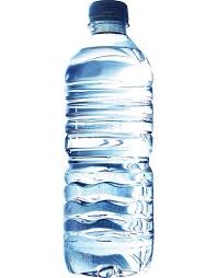 Number one thing is WATER. LOTS AND LOTS OF WATER. You can usually buy it, but it will be expensive so you should take your own. If they allow you, also take some small snacks because you want to eat throughout the day. Healthy is the way to go since you'll be out in the heat.