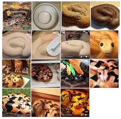 Cool Cake Tutorials. 🎂
