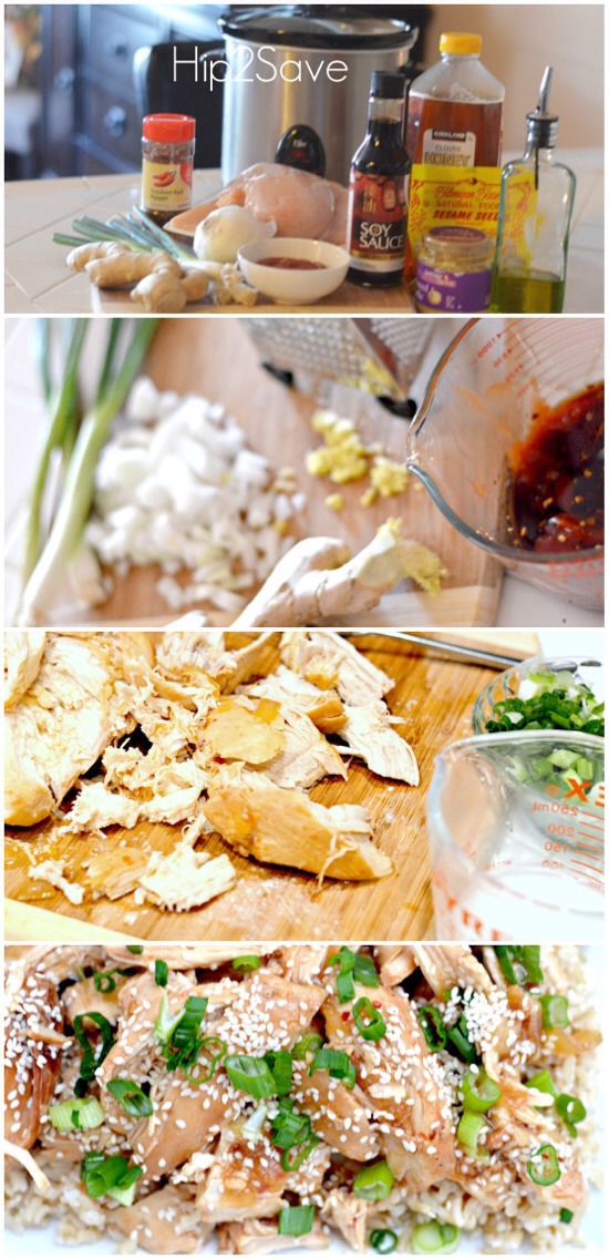 Directions:

Place chicken in Crock Pot and lightly season both sides with salt and pepper. In a medium bowl, combine onion, garlic, honey, ketchup, soy sauce, ginger, oil, and red pepper flakes. Pour over chicken. Cook on low for 3-4 hours, or high for 2 hours.