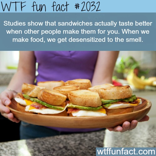 Fun Food Facts. 😊