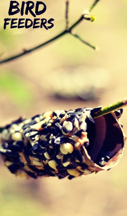 Do the kids love the outdoors and animals? Make your own bird feeder using three thing! A toilet paper roll, peanut butter and seeds.
Spread peanut butter over the cardboard to act like a glue and roll over seeds! Place on a branch and wait for some hungry little birds