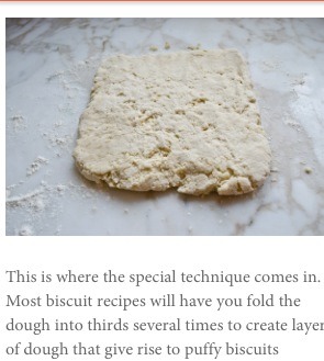 Best Butter Biscuit Recipe for Thanksgiving # Friendsgiving