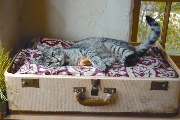 Things To Do With Old Stuff Remember To Like Save And Share