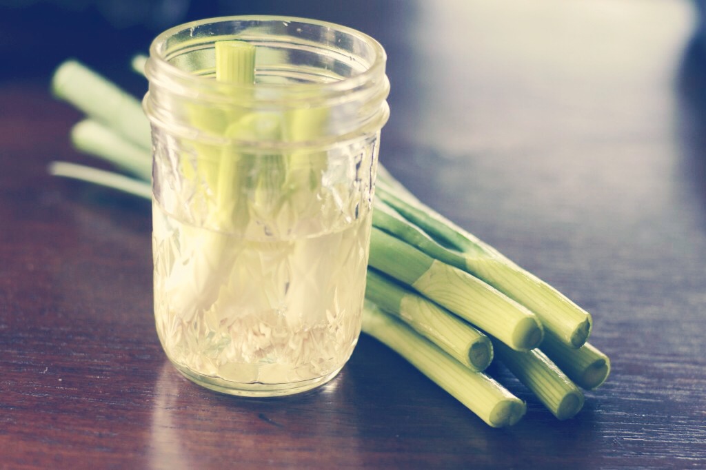Boil some onions in water and use the water on your hair -- no lie! It'll make it grow super fast and it'll give it an awesome sheen that everyone will be jealous of! 