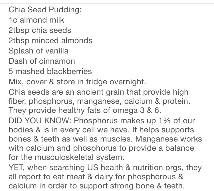 Chia Seed Pudding