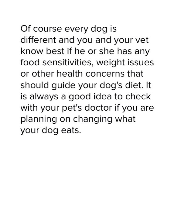 Dog Safe Foods 