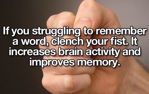 School Tips You Should Know📝