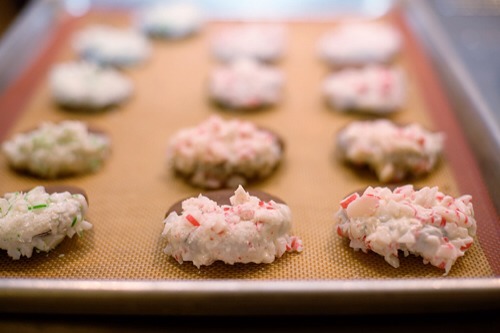 Chocolate Candy Cane Cookies