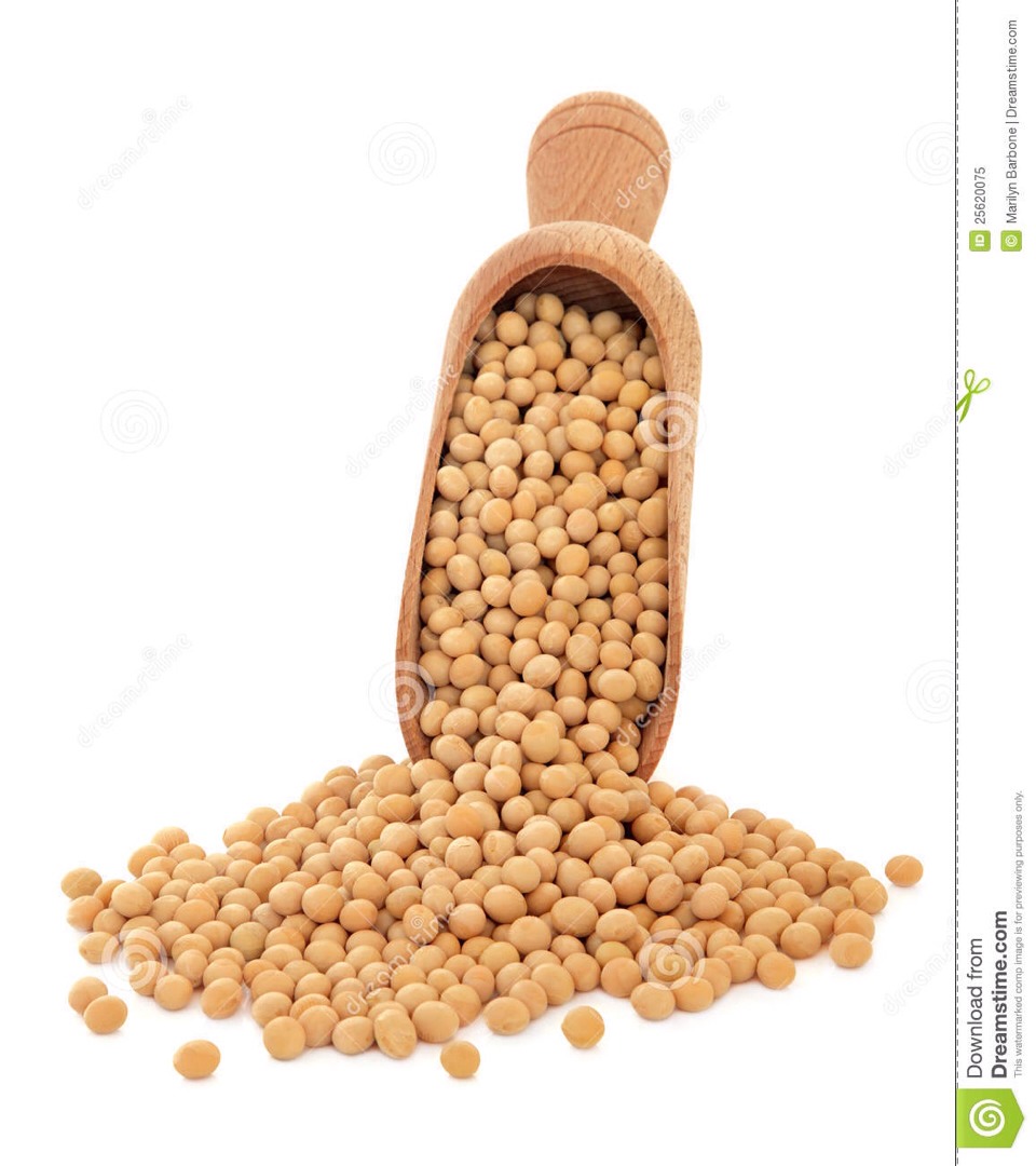 Soya