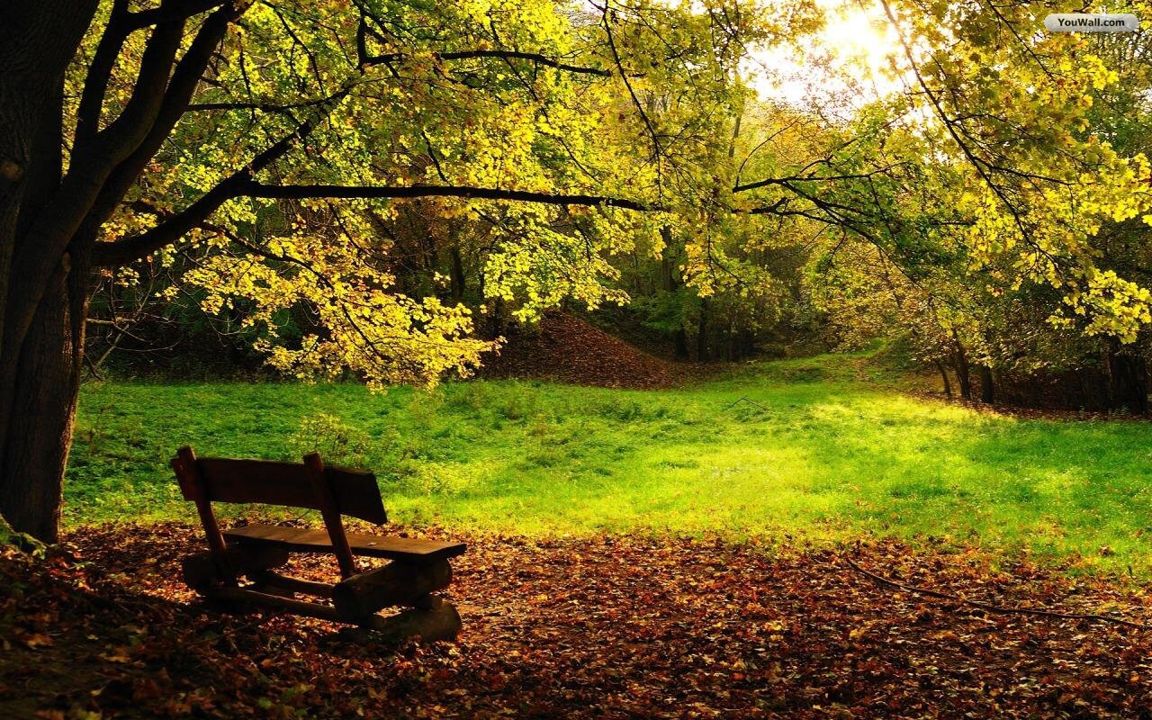 Sit outside for 5 minutes. Relax and enjoy!