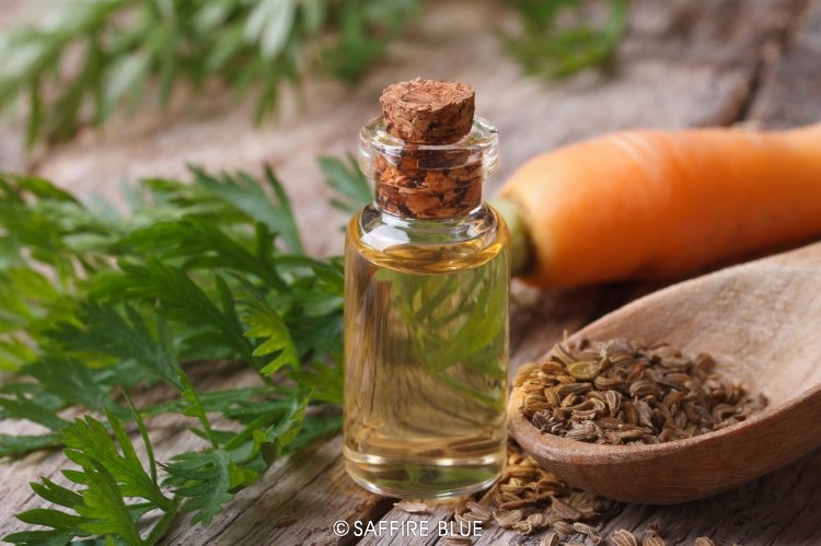Carrot Seed Essential Oil is like frankincense in that it is a powerful oil for anti aging and preventing wrinkles. It also is awesome for healing any scrapes, scratches, scars, and for reducing the appearance of stretch marks!