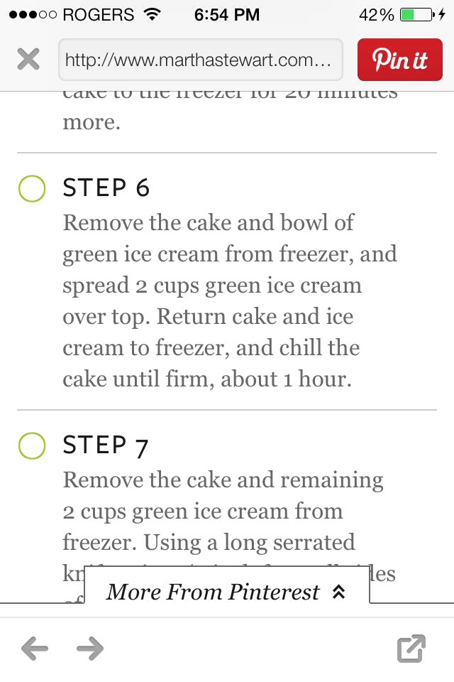 Mint Chocolate Chip Icecream Cake