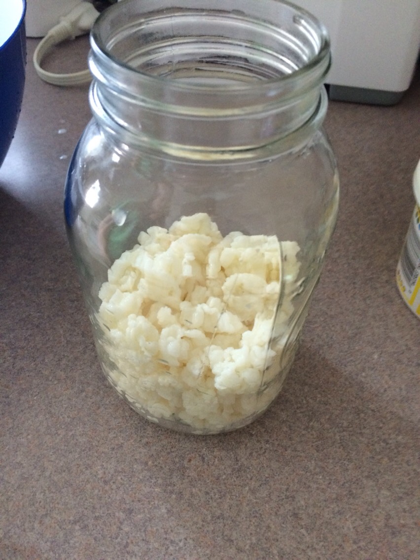 Step one: So when you prepare Kefir it can be a lengthy and semi-complicated process at first. A few things you should know is that kefir can not touch anything metal while being processed. It can only be processed using plastic or glass so I use a glass mason jar to store the mushrooms in. 