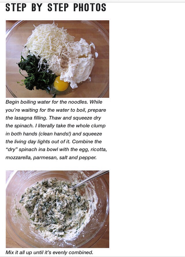Spinach Lasagna Recipe 
