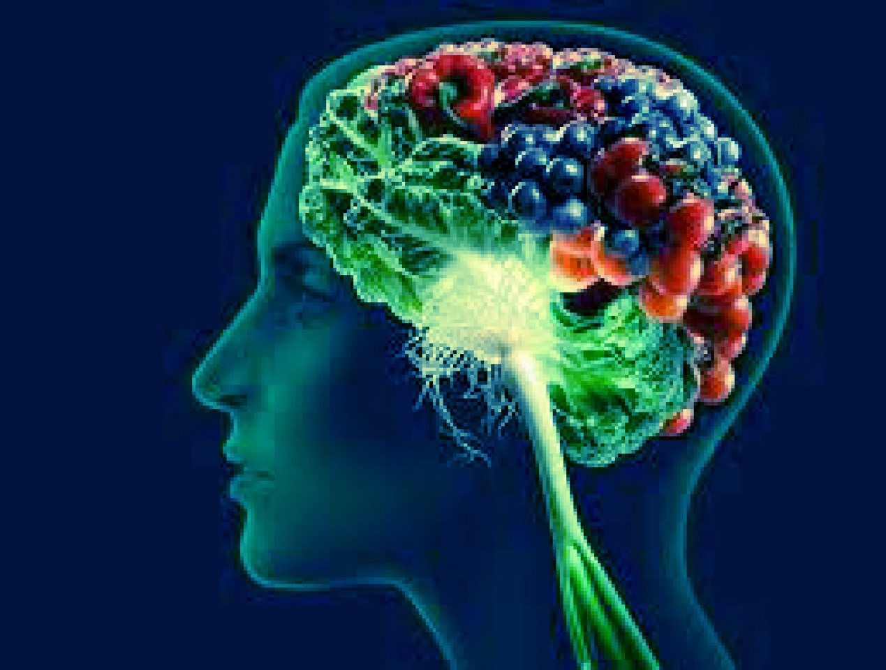 Step 5 contd
BRAIN FOOD:
-Bananas - good for metabolism for the power to sail through exams. 
-Apples: natural sugars in them have proved to be more effective than coffee (plus theyve got a clean cut taste to them)
-Nuts and seeds are a healthy alternative to crisps