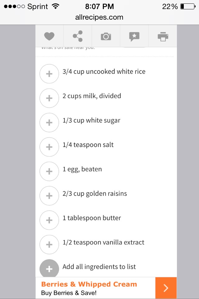Rice Pudding 