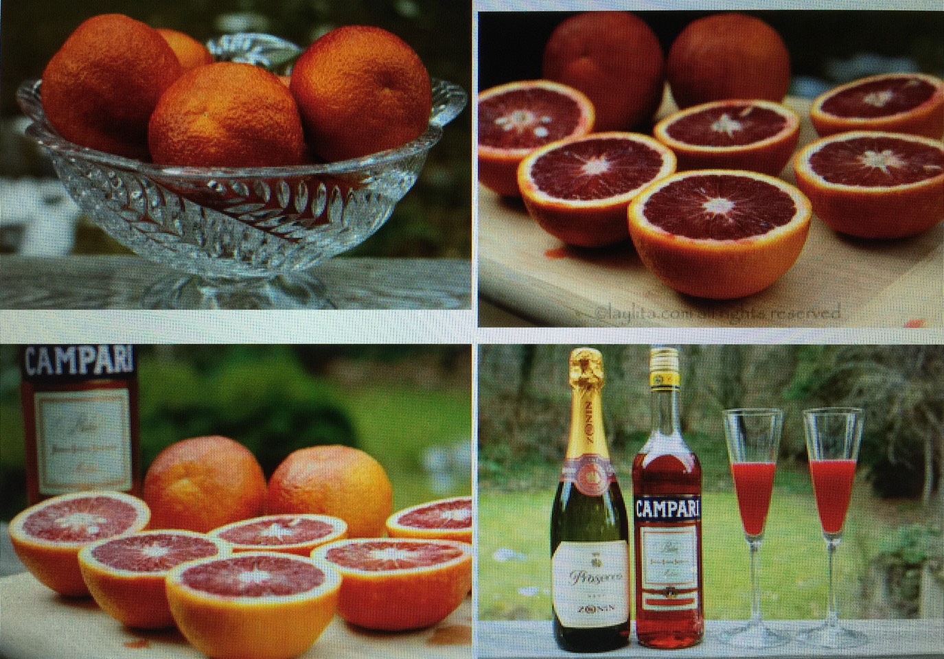 πΉπΉ Bubbly Blood Orange Campari Cocktail ππΈπΉ