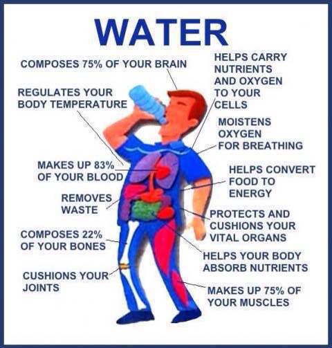 How to Get Your Summer Beach Body 💪