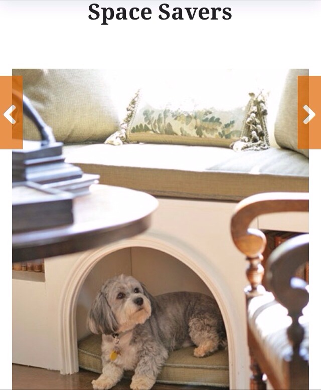 🌟 Creative Dog Bed Ideas You And Furry Friend Wld Love! 🌟