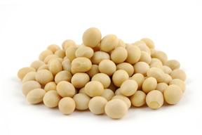 Soybeans
Soybeans are a rich source of Biotin, as well as key health factors like protein and fiber. They are often used as a meat substitute in vegetarian cuisine, and there are many ways to prepare it, include tofu and tempeh. 
