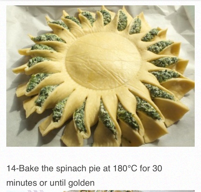 Spinach Pie Yum!!!