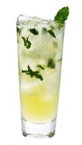 Sugar Free Mojito
