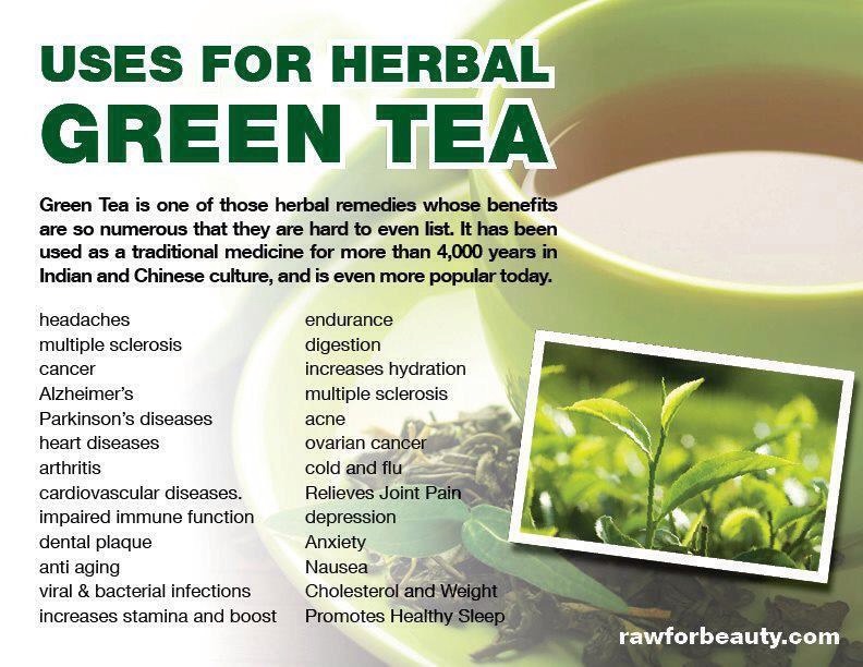 Benefits Of Drinking Green Tea! 🍵