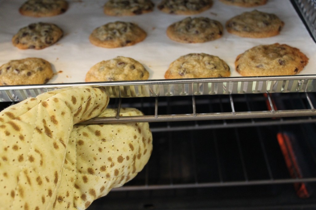 5. Stir in chocolate chips.
6. Drop dough by spoonfuls on a non-greased baking sheet.
7. Bake in the centre of the oven for 9 to 12 minutes, or until biscuits are golden.
8. Let cool 10 minutes before transfer to a rack to cool completely.