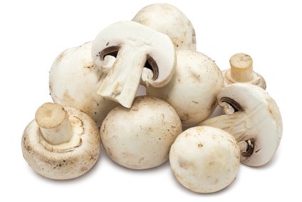 In another pan, melt a half a stick of butter then add your mushrooms and a heavy layer of garlic salt.