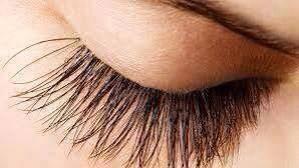 Hair Skin And Nail