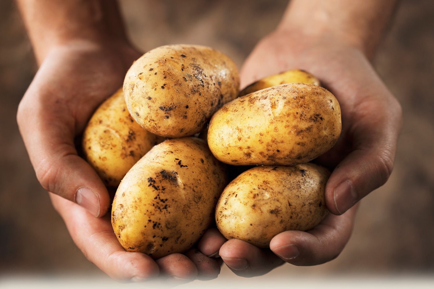 Potato contains natural bleaching properties that can help to fade the scars. Simple make a thick paste or juice out of a potato and with a cotton ball use it on the face, leave it on for few mins before you rinse off.

