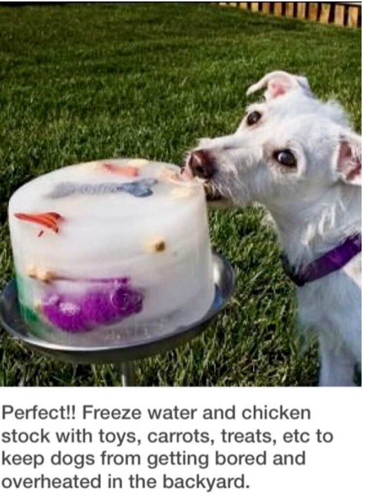 Interesting Life Hacks, Facts, And Tips