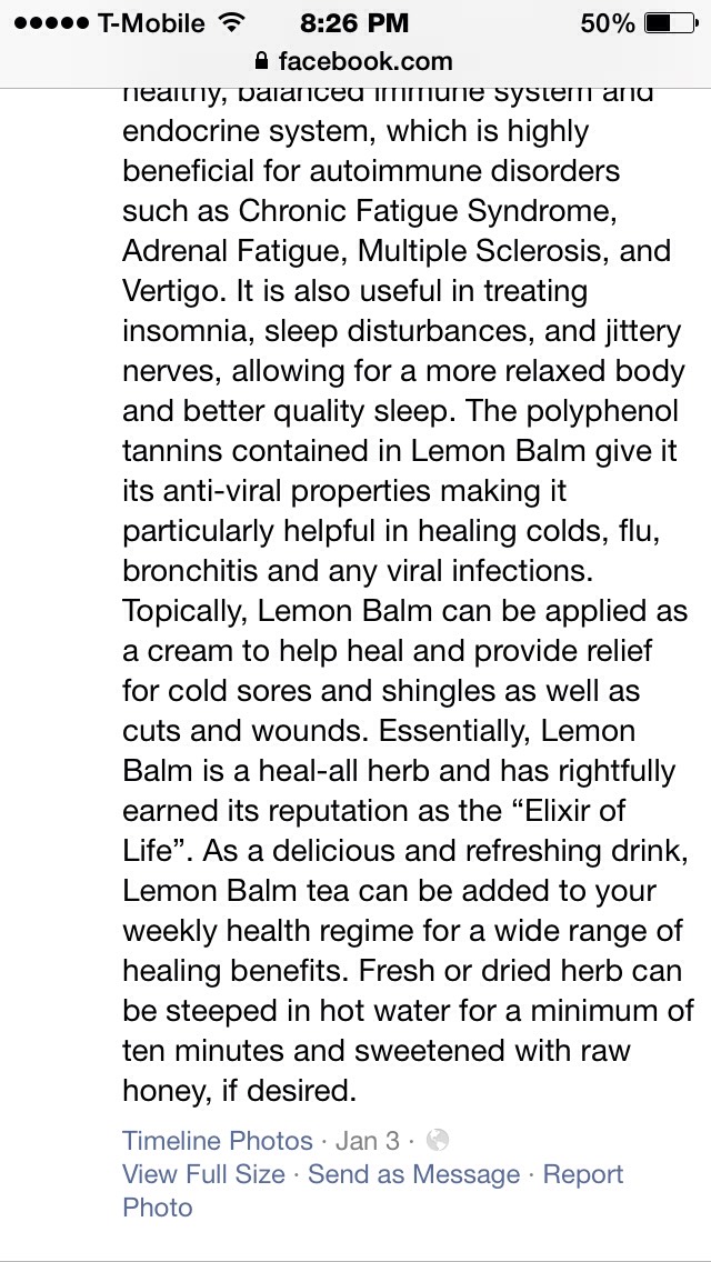 🍋️Health Benefits Of Lemon Balm Tea🍋 