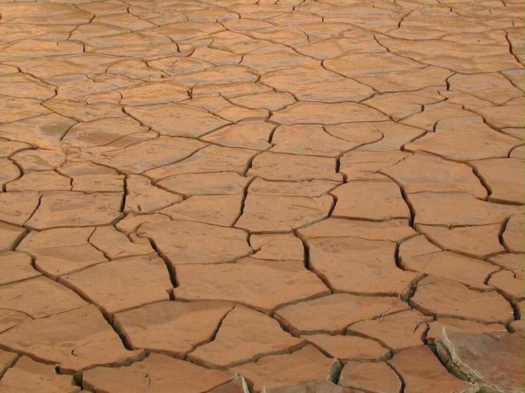 DO NOT...
Shave over dry skin!! Razors can catch and drag on dry skin causing nicks and scratches. The best time to shave is after a steamy hot bath or shower when your skin is still damp and moisturized. The hotter the water the better the shave because hot water weakens hair follicles.