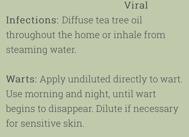 💥75 Amazing Tea Tree Oil Uses💥
