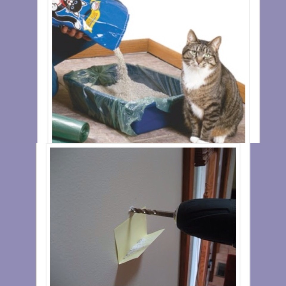 9. Use a garbage bag for your cats litter for quick cleanup 
10. Use a post it note to catch fallout while drilling