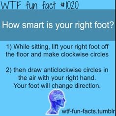 Fun Fact About Women 😱👍💯