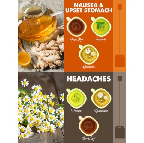 10 Cures From Tea ✨🌴✨
