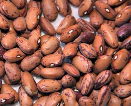 Beans

Beans are full of antioxidants. Antioxidants are great for skin. The end. (Musical fruit, and all that as well.)