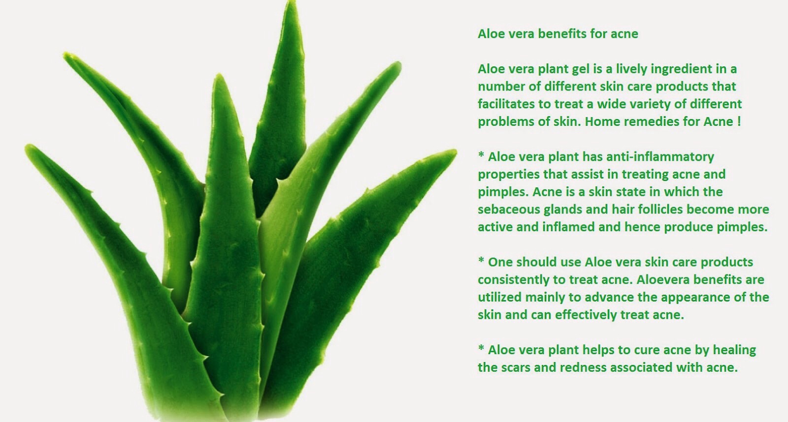 Health Benefits of Aloe Vera! 