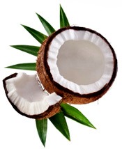 7. Coconut Oil Can Improve Blood Cholesterol Levels and May Lower Your Risk of Heart Disease. 
Bottom Line: Studies in both humans and rats show that coconut oil improves important risk factors like Total, LDL and HDL cholesterol, which may translate to a reduced risk of heart disease.