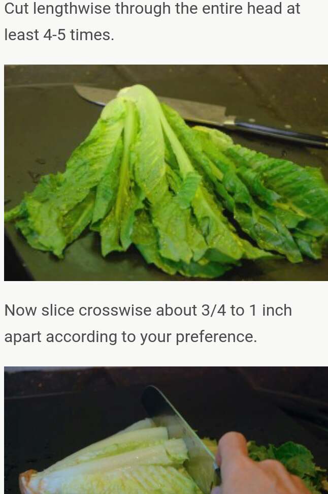 NO HASSELL 2GET FRESH LETTUCE 4 SALAD SAV AT HOME 4MANY DAYS (worth a try)
