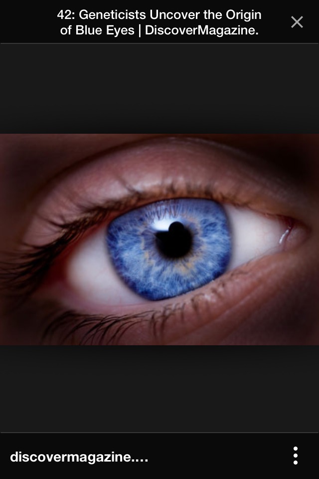  Makeup Tips Based On Eye Colour, Hair Colour And Face Shape 