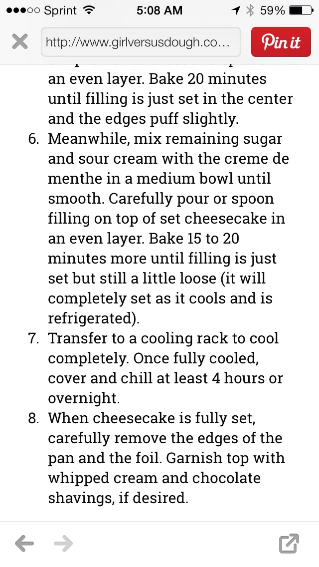 Double Chocolate Mint Cheese Cake