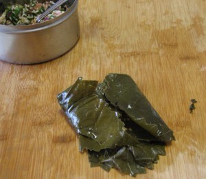 Fold the top sides over to cover the filling.