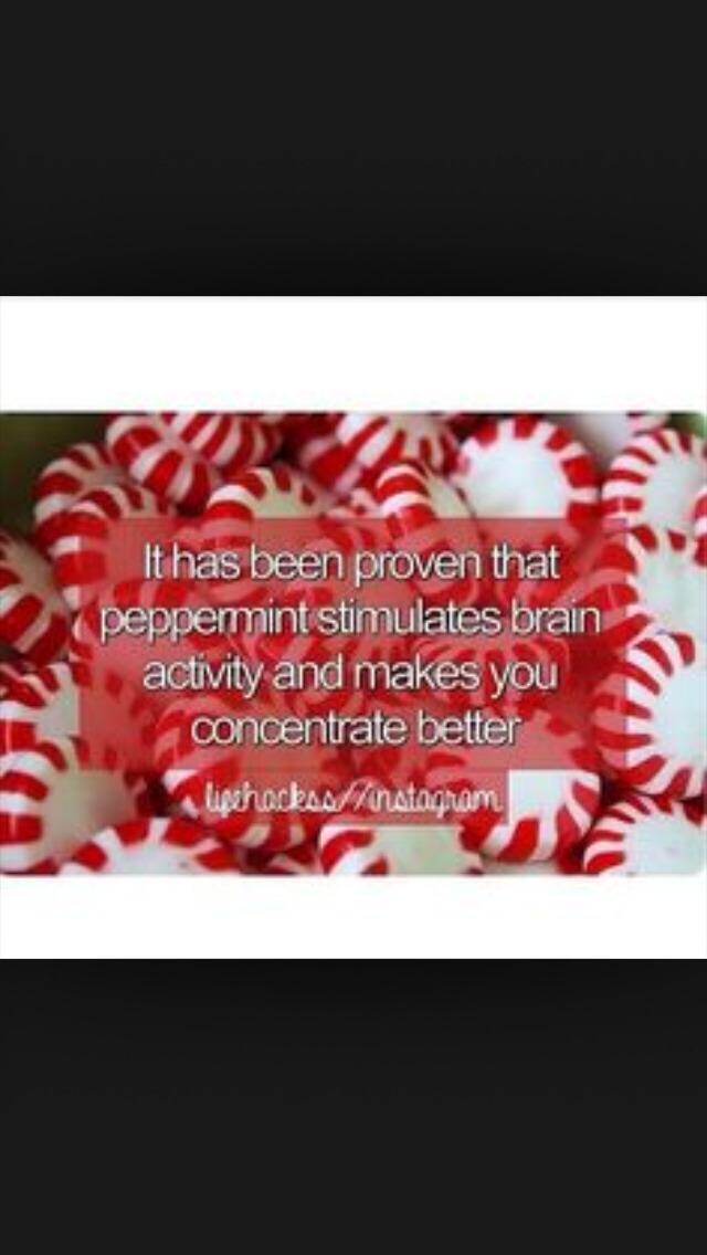 14 School Hacks :)