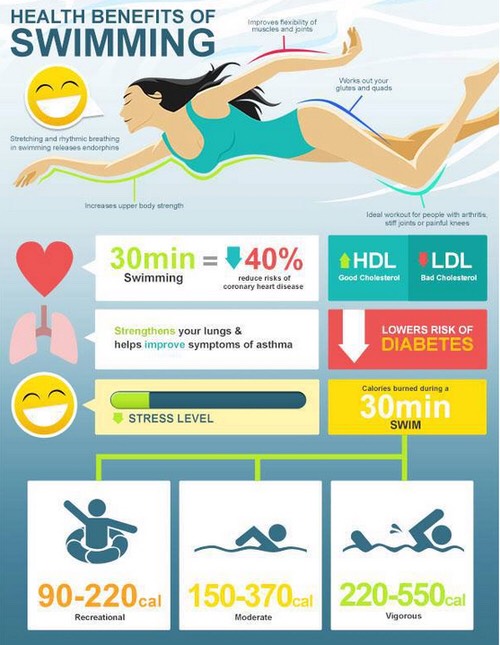 The Complete Guide To Home Fitness!💪🏼✭
