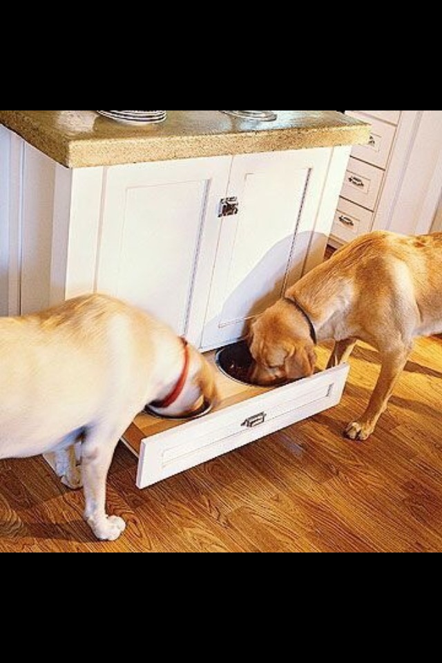 Tips For Dog Owners