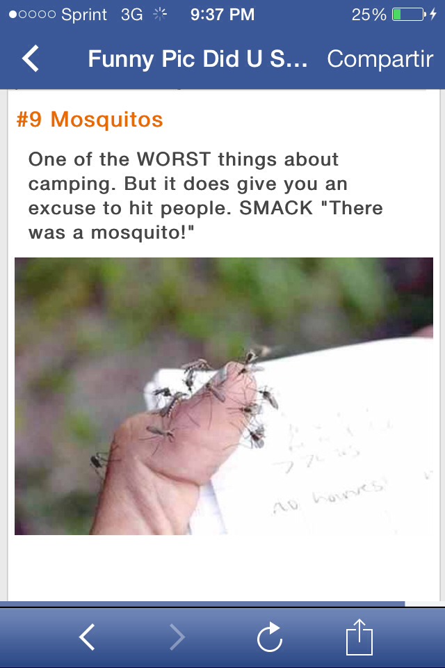 Reasons To Never Go Camping Again !!!!