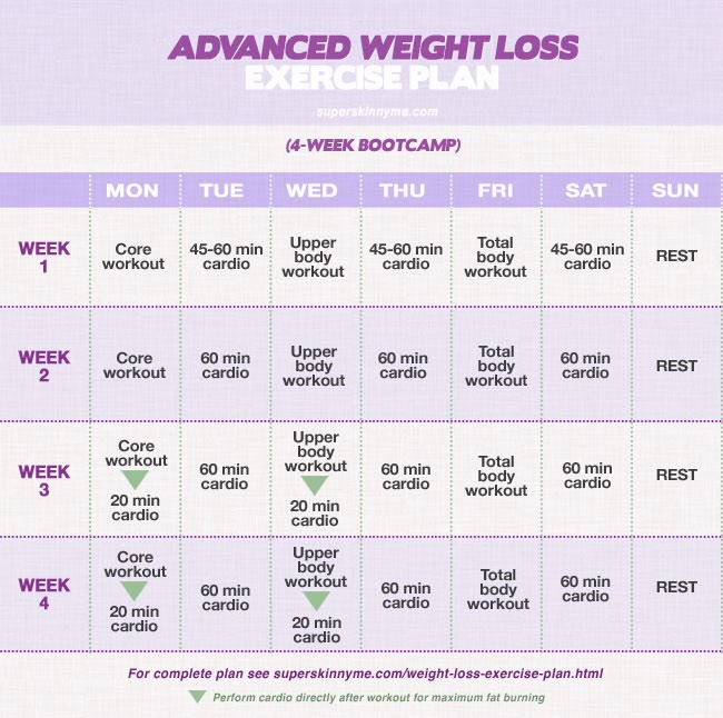 Full Body Work Out 